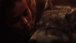 A Companhia dos Lobos (1984)
