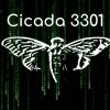 O misterioso enigma da Cicada 3301