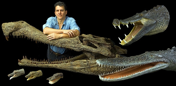 Fósseis de Crocodilo descobertos no Saara