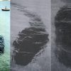 Fatos misteriosos sobe o Monstro Marítimo da Ilha Hook, na Austrália