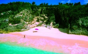 Pink Sand Beach (Bahamas)