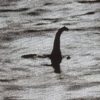 Nessie, o monstro do Lago Ness