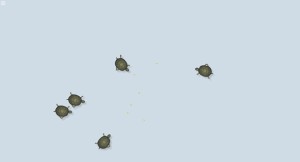 Tartarugas (Turtle) - Abowman