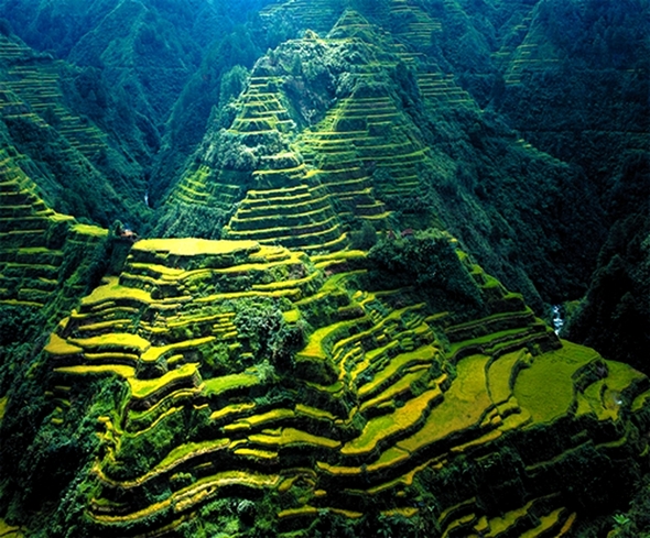 Terraços de arroz de Banaue