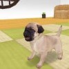 Review: The Dog Happy Life – PSP